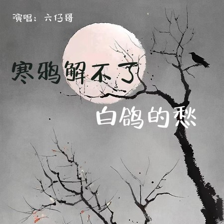 寒鸦解不了白鸽的愁