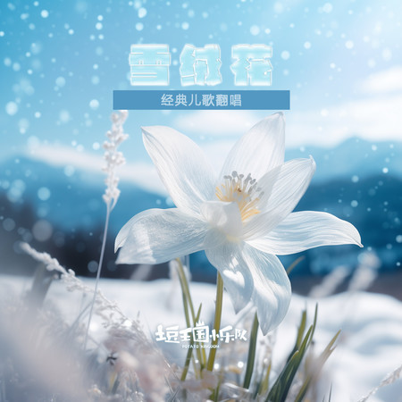 雪絨花