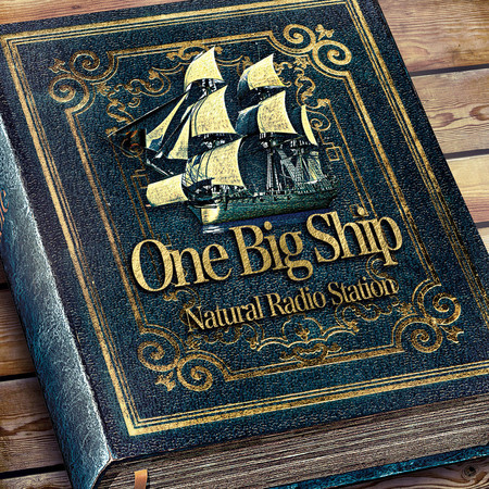 One Big Ship