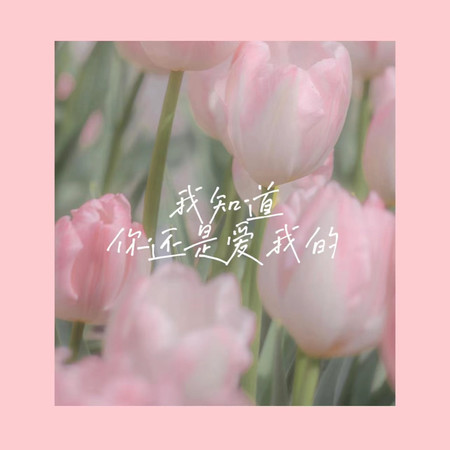 我知道你還是愛我的