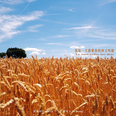 我每一天都愛你的西文叫做 Te amo todos los días