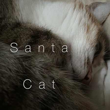 Santa Cat