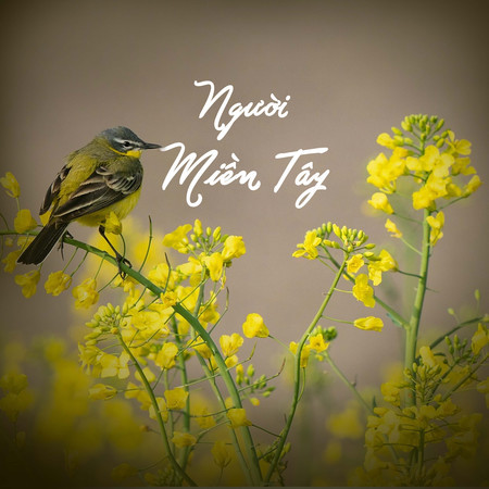 Người Miền Tây