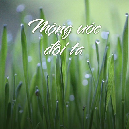 Mộng Ước Đôi Ta