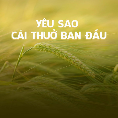 Yêu Sao Cái Thuở Ban Đầu