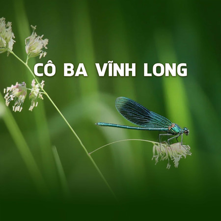 Cô Ba Vĩnh Long