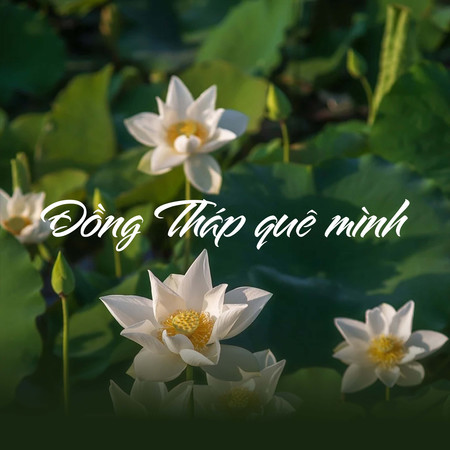 Đồng Tháp Quê Mình