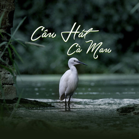Câu Hát Cà Mau