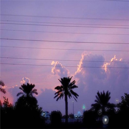 不結婚可不可以