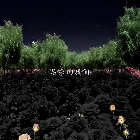后来的我们