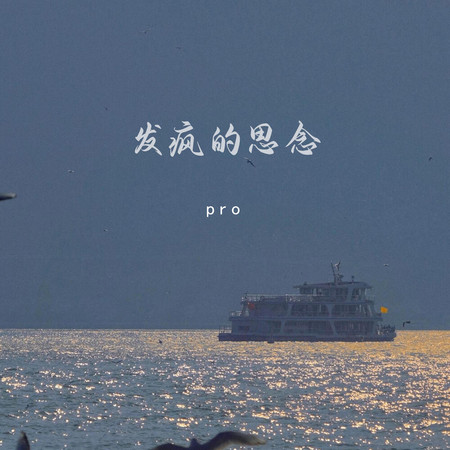 發瘋的思念