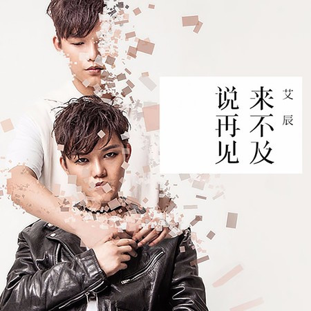 来不及说再见
