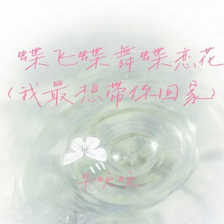 蝶飞蝶舞蝶恋花 (我最想带你回家)