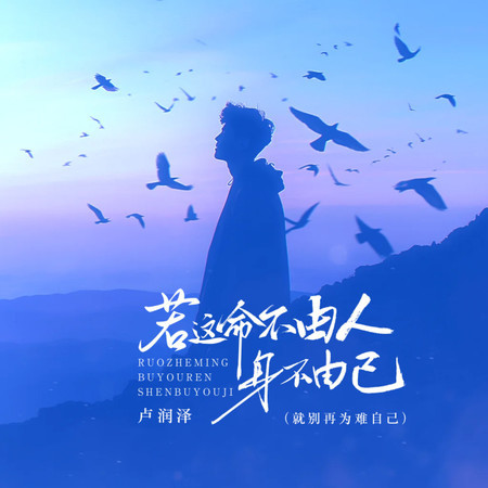 若這命不由人身不由己