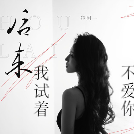 後來我試着不愛你