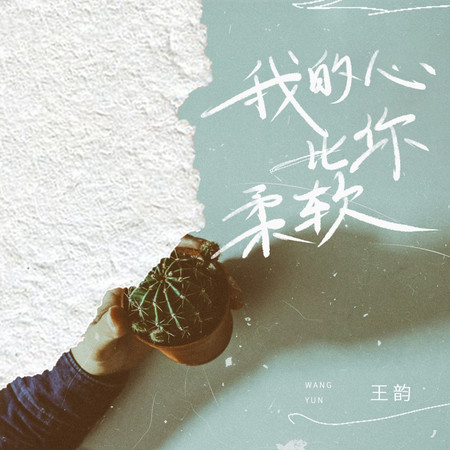 我的心比你柔軟