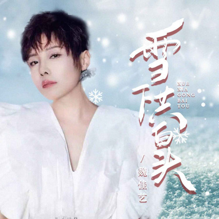 雪下共白頭