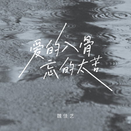 愛的入骨 忘的太苦