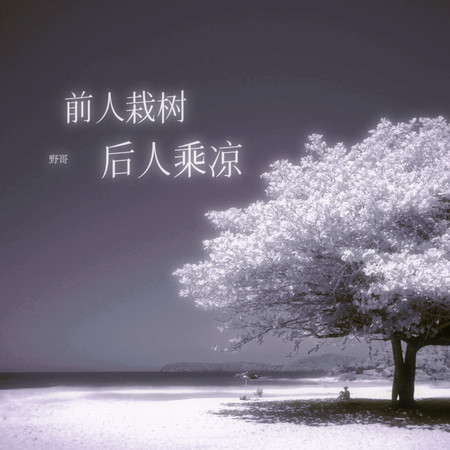 前人栽樹後人乘涼