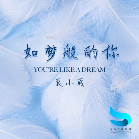 如夢般的你