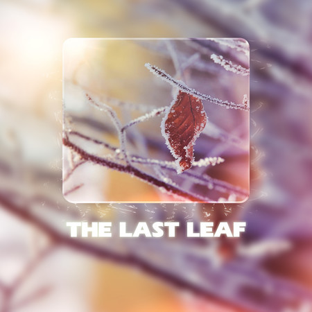 The Last Leaf