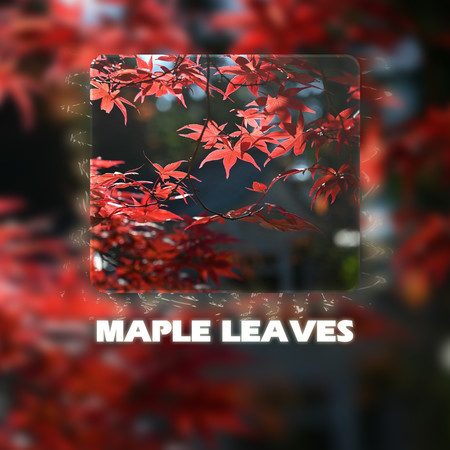 Maple Leaves