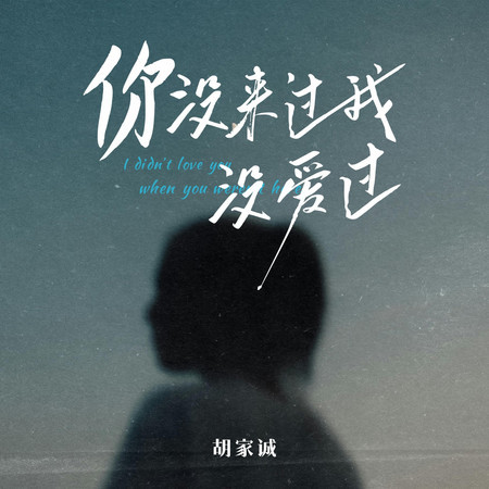 你沒來過我沒愛過