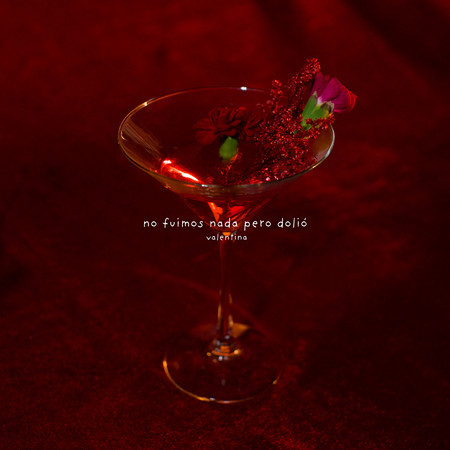 no fuimos nada pero dolió