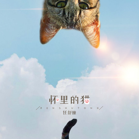 懷裏的貓