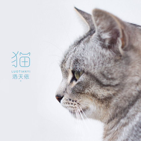 貓