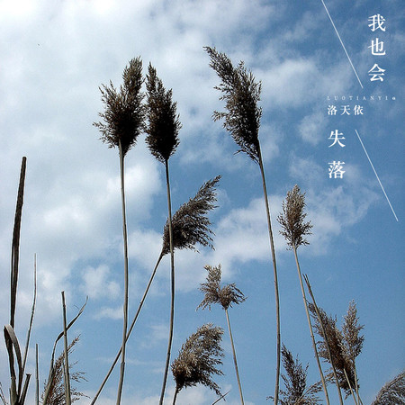 我也會失落
