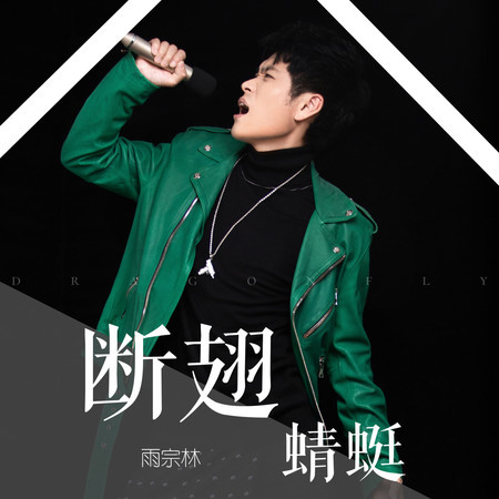 斷翅蜻蜓