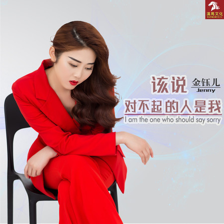 該說對不起的人是我