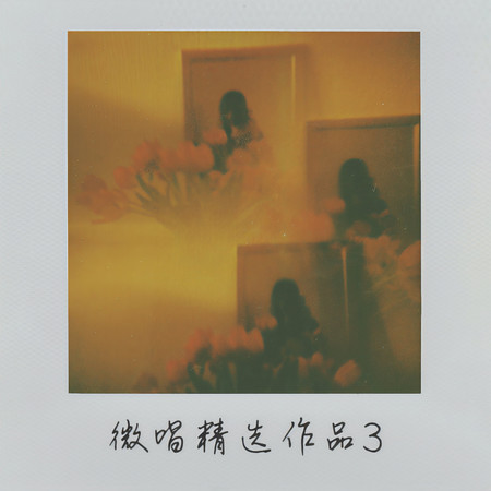 微唱精選作品3