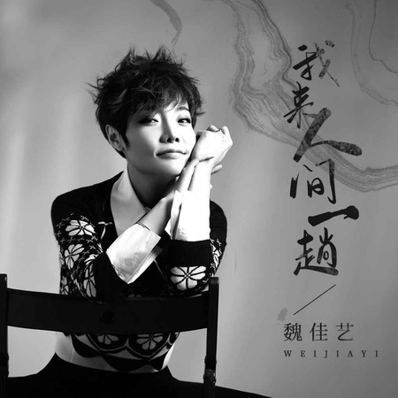 我來人間一趟 (無)