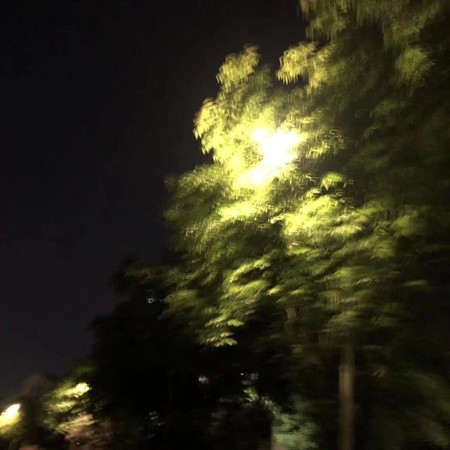 梦呓