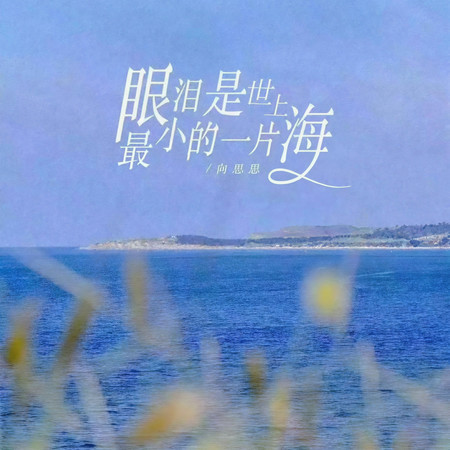 眼淚是世上最小的一片海