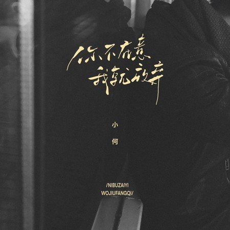 你不在意我就放棄
