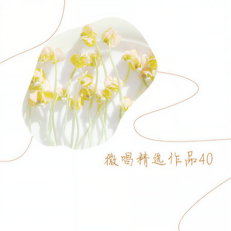 微唱精選作品40