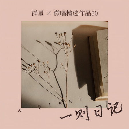 微唱精選作品50-一則日記