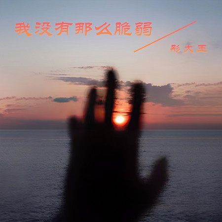 我沒有那麼脆弱
