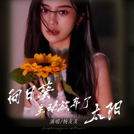 向日葵主動放棄了太陽