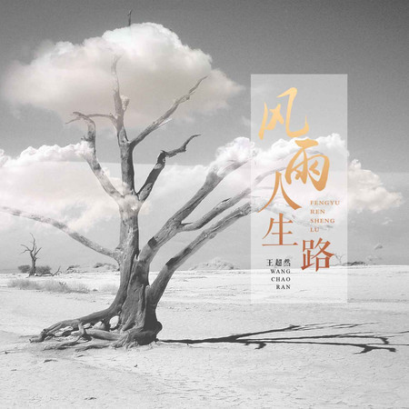 風雨人生路