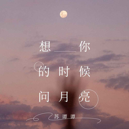 想你的時候問月亮 (DJ九零版伴奏)