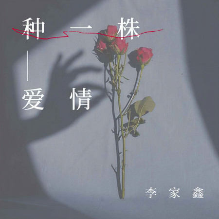 專輯封面