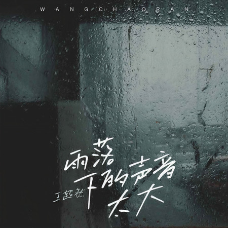 雨落下的聲音太大