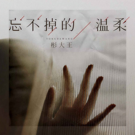忘不掉的溫柔