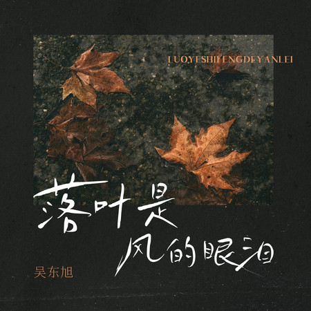 落葉是風的眼淚