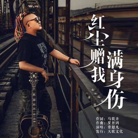 紅塵贈我滿身傷