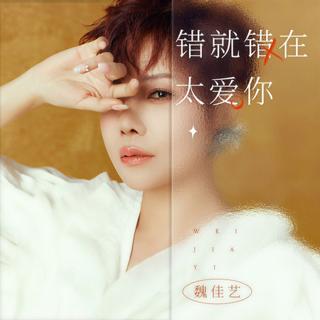 錯就錯在太愛你